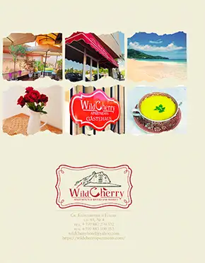 Дизайн на гърба на хотелска папка за WildCherry с колаж от брандирани елементи и интериорна фотография.