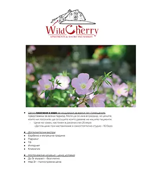 Дизайн на презентационен документ за партньорство на WildCherry с авторска фотография от Art Spot