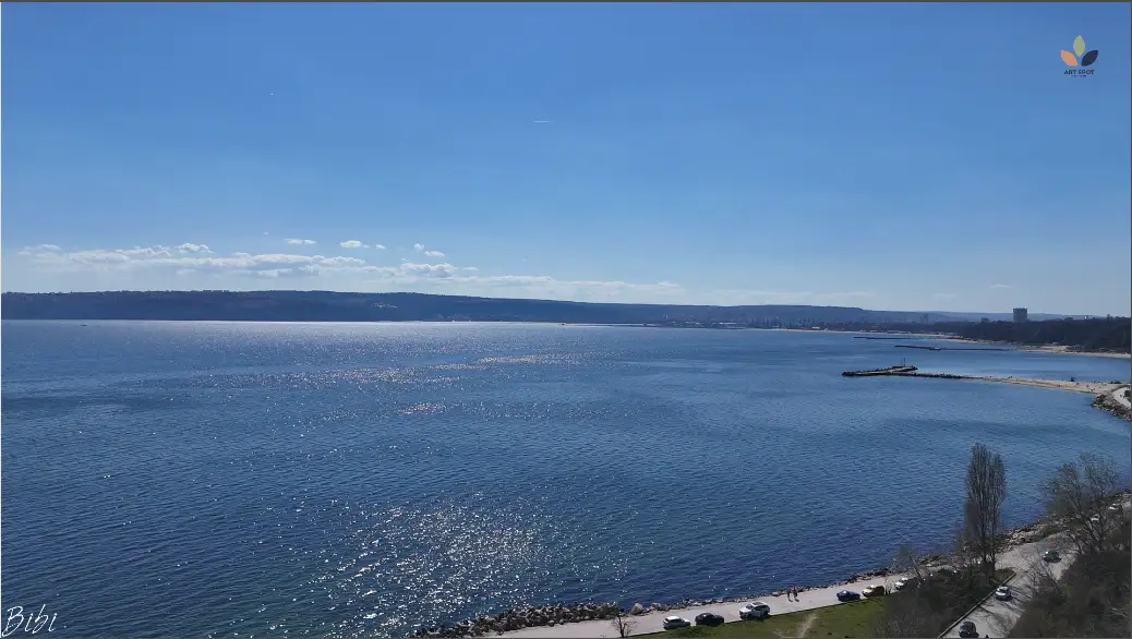 2026 04 06 art spot web studio fly